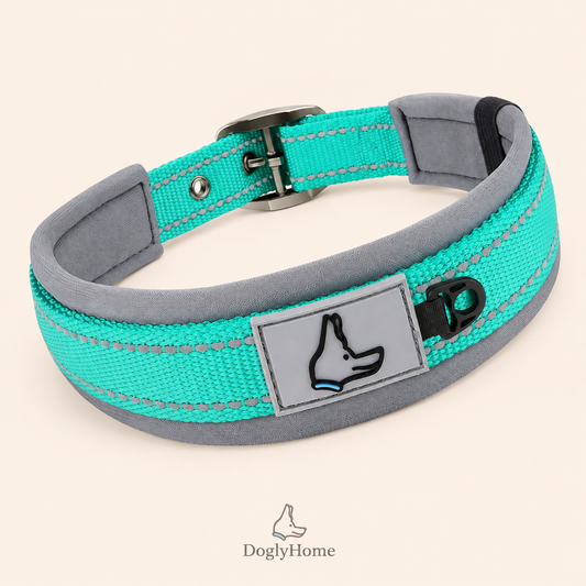 Collier rembourré réfléchissant DoglyHome bleu sur fond beige crème