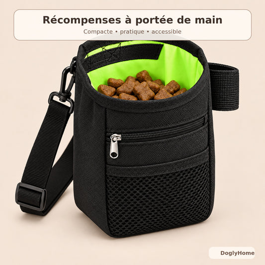 Pochette de dressage DoglyHome, vue premium