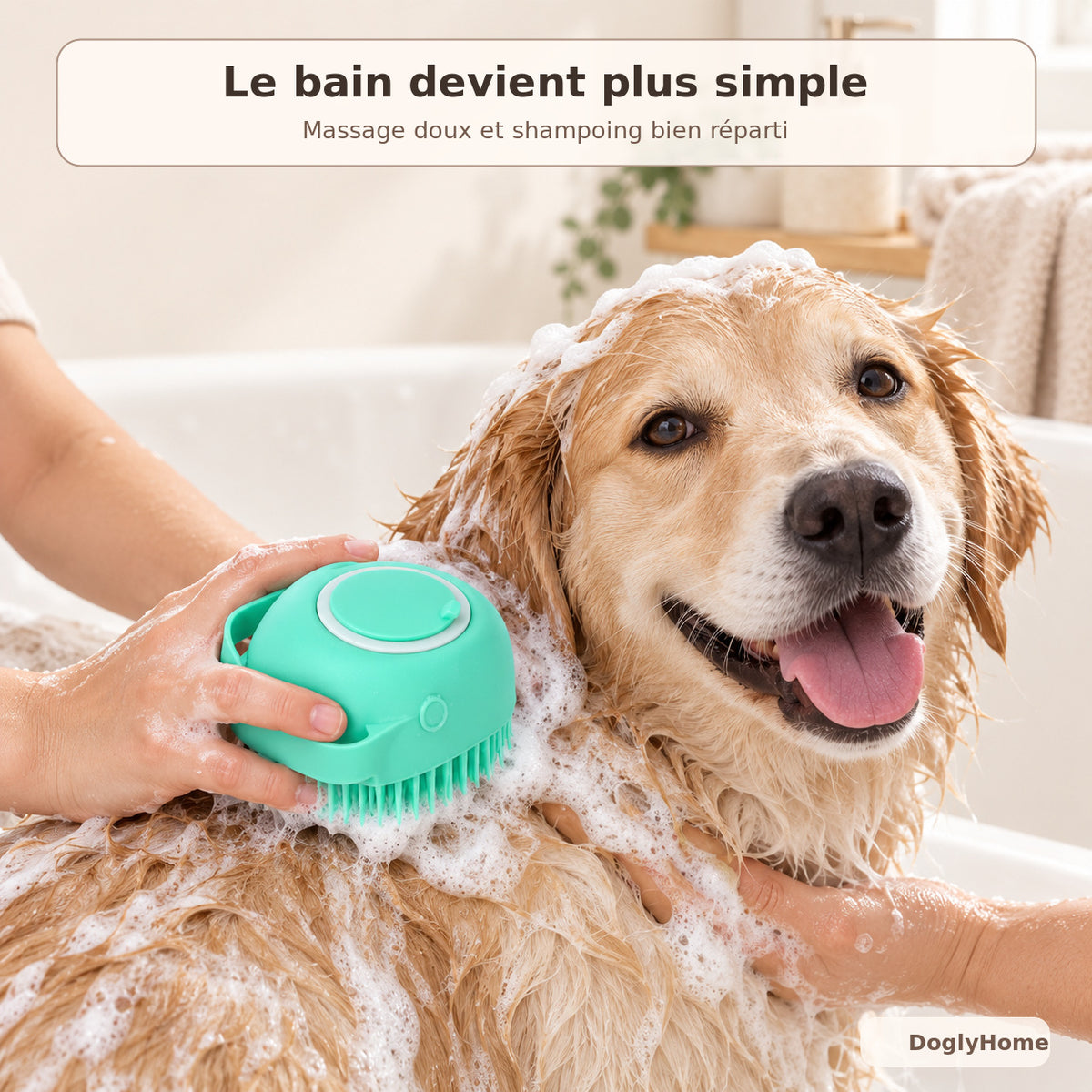 Chien lavé avec la brosse de bain du kit