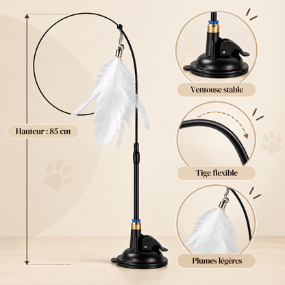 Jouet Auto-Interactif pour Chat DoglyHome