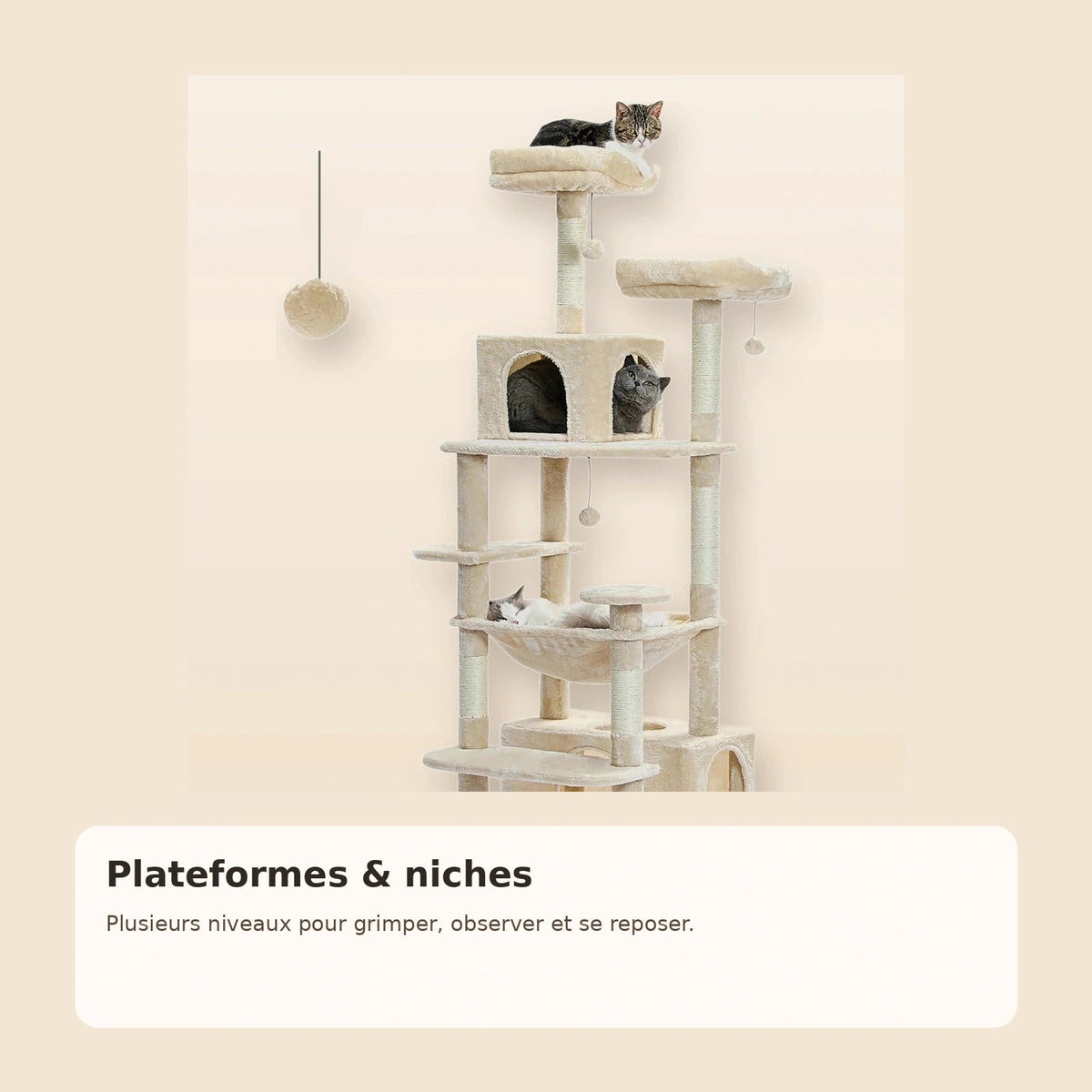 Détail des plateformes de l’arbre à chat XXL DoglyHome