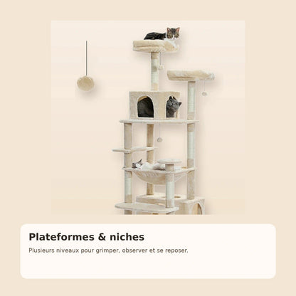 Détail des plateformes de l’arbre à chat XXL DoglyHome