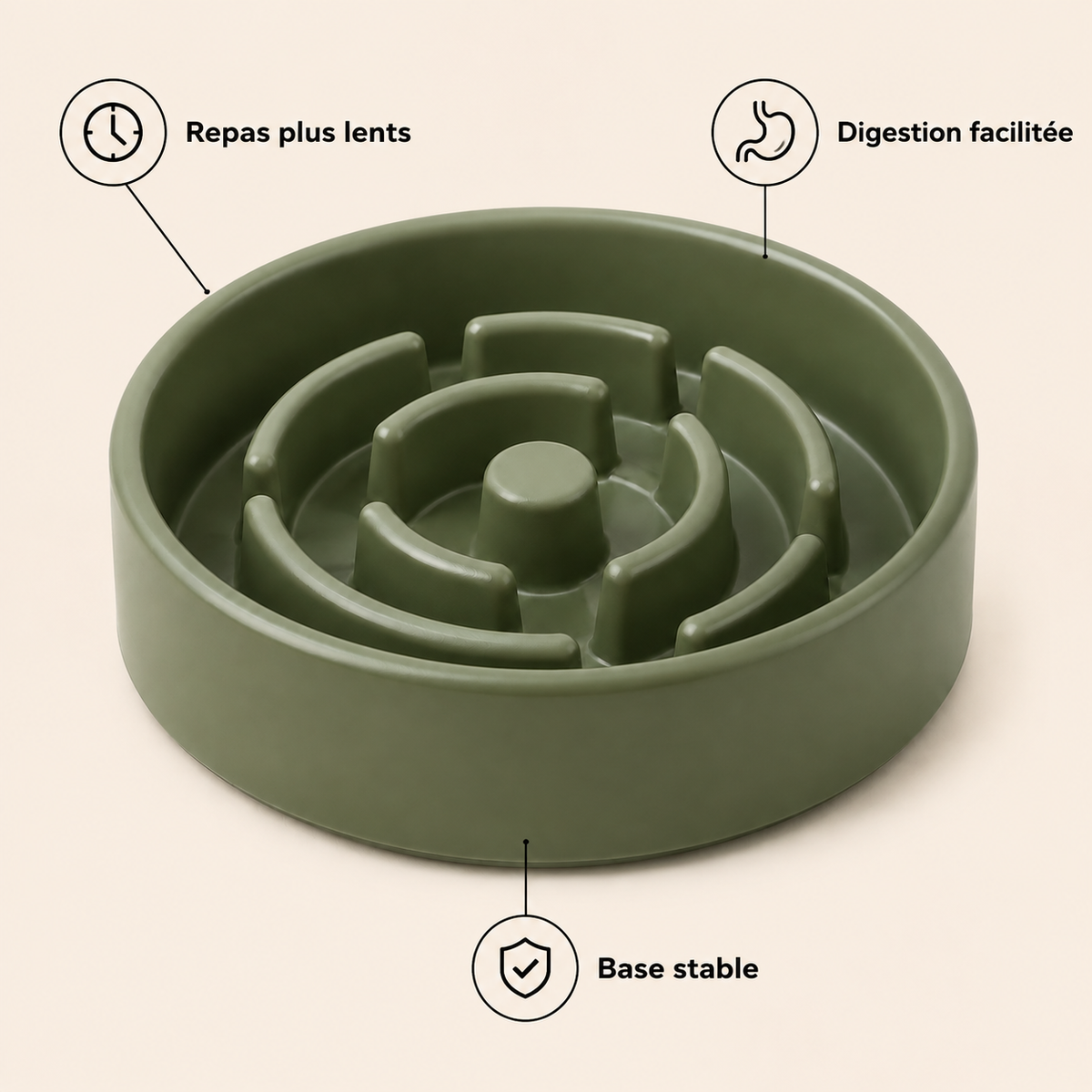 Avantages du Bol Anti Glouton DoglyHome en français