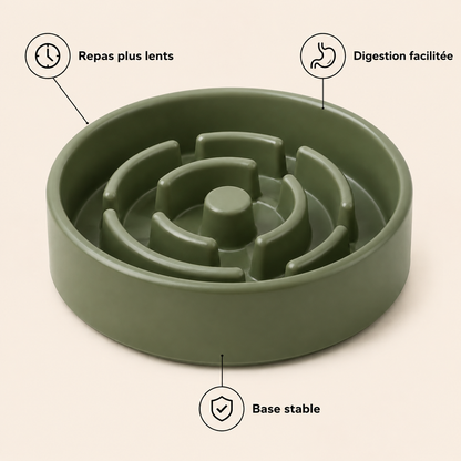 Avantages du Bol Anti Glouton DoglyHome en français