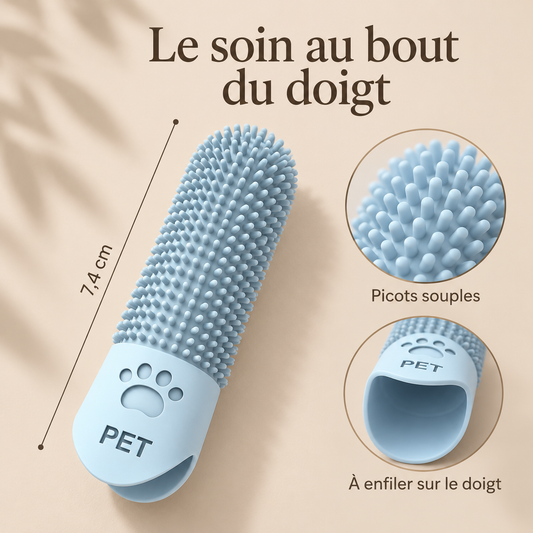 Brosse doigt DoglyHome pour hygiène bucco-dentaire