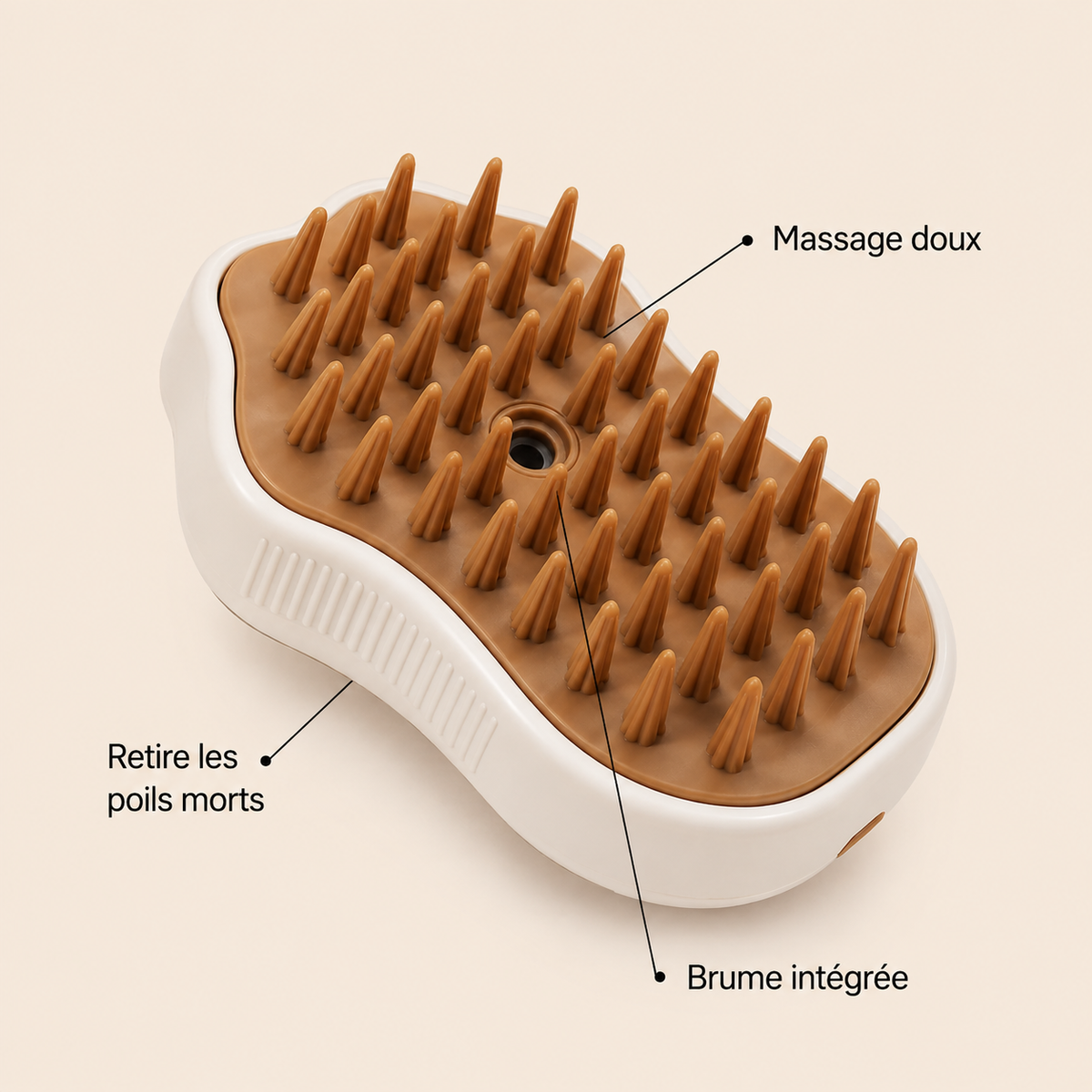 Avantages de Brosse de Massage Patte Douce DoglyHome en français