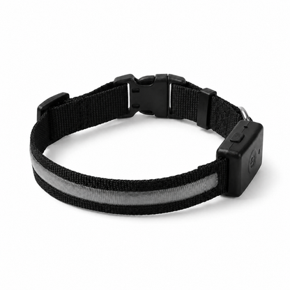 Collier lumineux LED noir DoglyHome sur fond blanc