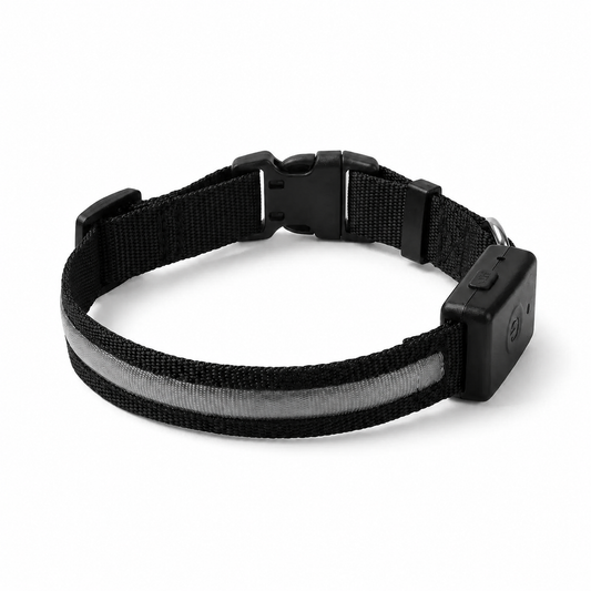 Collier lumineux LED noir DoglyHome sur fond blanc
