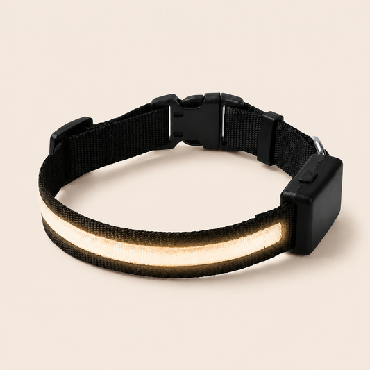Collier Lumineux LED DoglyHome sur fond beige premium