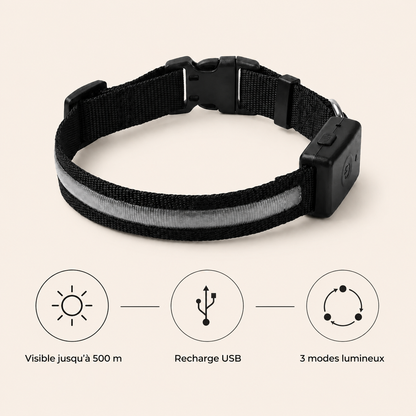 Avantages de Collier Lumineux LED DoglyHome en français