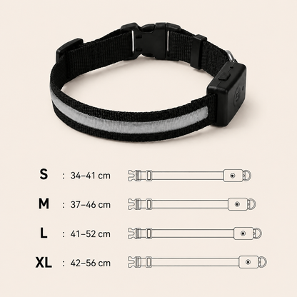 Dimensions de Collier Lumineux LED DoglyHome