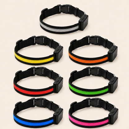 Coloris de Collier Lumineux LED DoglyHome sur fond beige