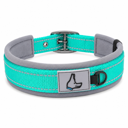 Collier rembourré réfléchissant DoglyHome bleu sur fond blanc