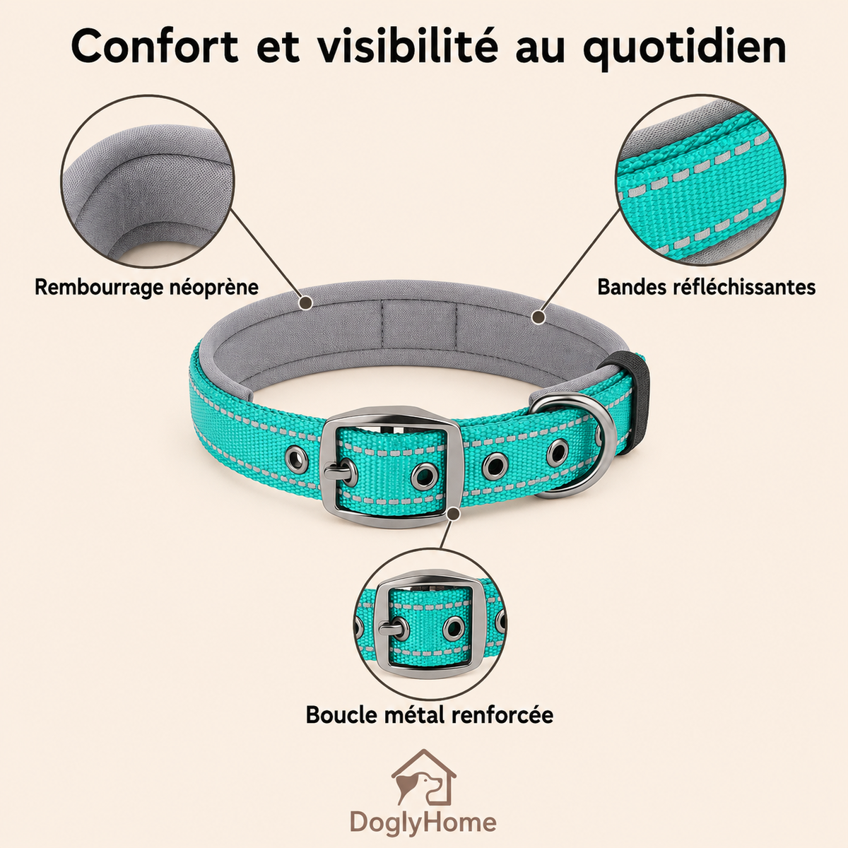 Avantages du collier DoglyHome : rembourrage, bandes réfléchissantes et boucle métal