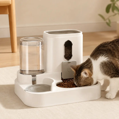 Chat utilisant le distributeur à gravité DoglyHome