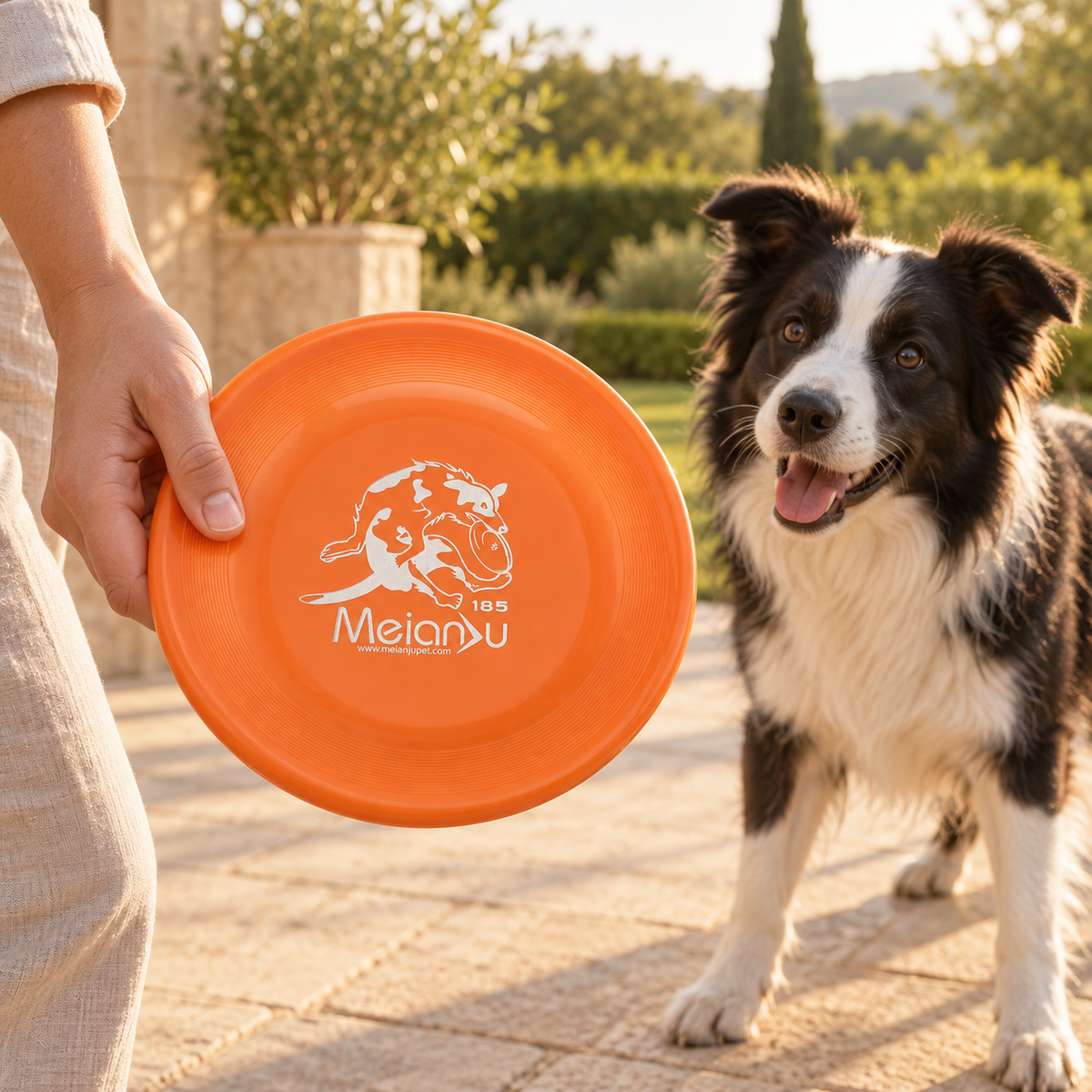 Chien jouant au frisbee DoglyHome dans le jardin