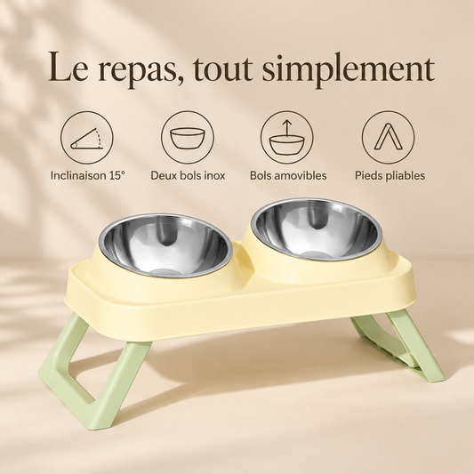Vue premium gamelle double inclinée DoglyHome