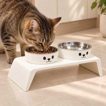 Chat utilisant la gamelle surélevée double inox DoglyHome
