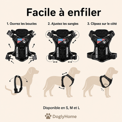 Étapes pour enfiler et ajuster le harnais renforcé DoglyHome