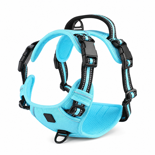 Harnais anti-traction souple DoglyHome bleu ciel sur fond blanc