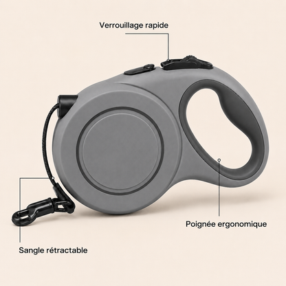 Fonctions de la Laisse Enrouleuse DoglyHome en français