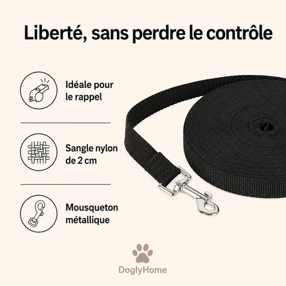 Avantages de la laisse longue DoglyHome : rappel, sangle nylon et mousqueton métallique