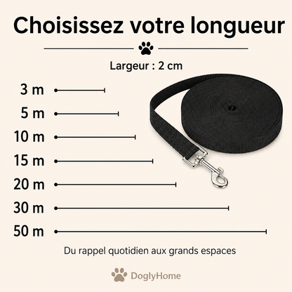Longueurs de 3 à 50 mètres de la laisse de dressage DoglyHome