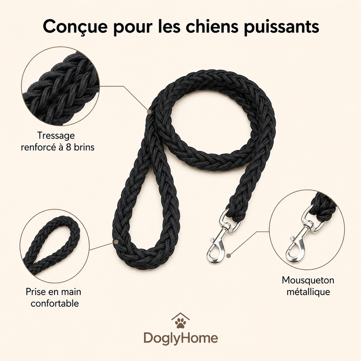 Avantages de la laisse tressée DoglyHome pour chiens puissants
