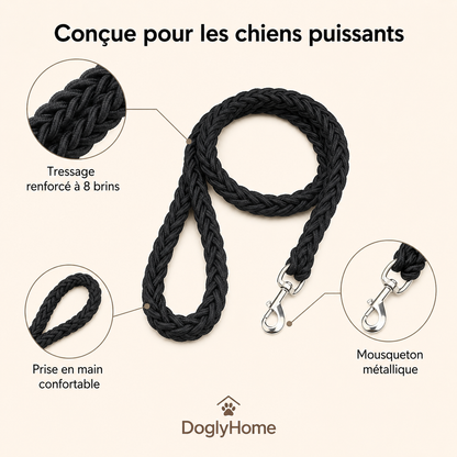 Avantages de la laisse tressée DoglyHome pour chiens puissants