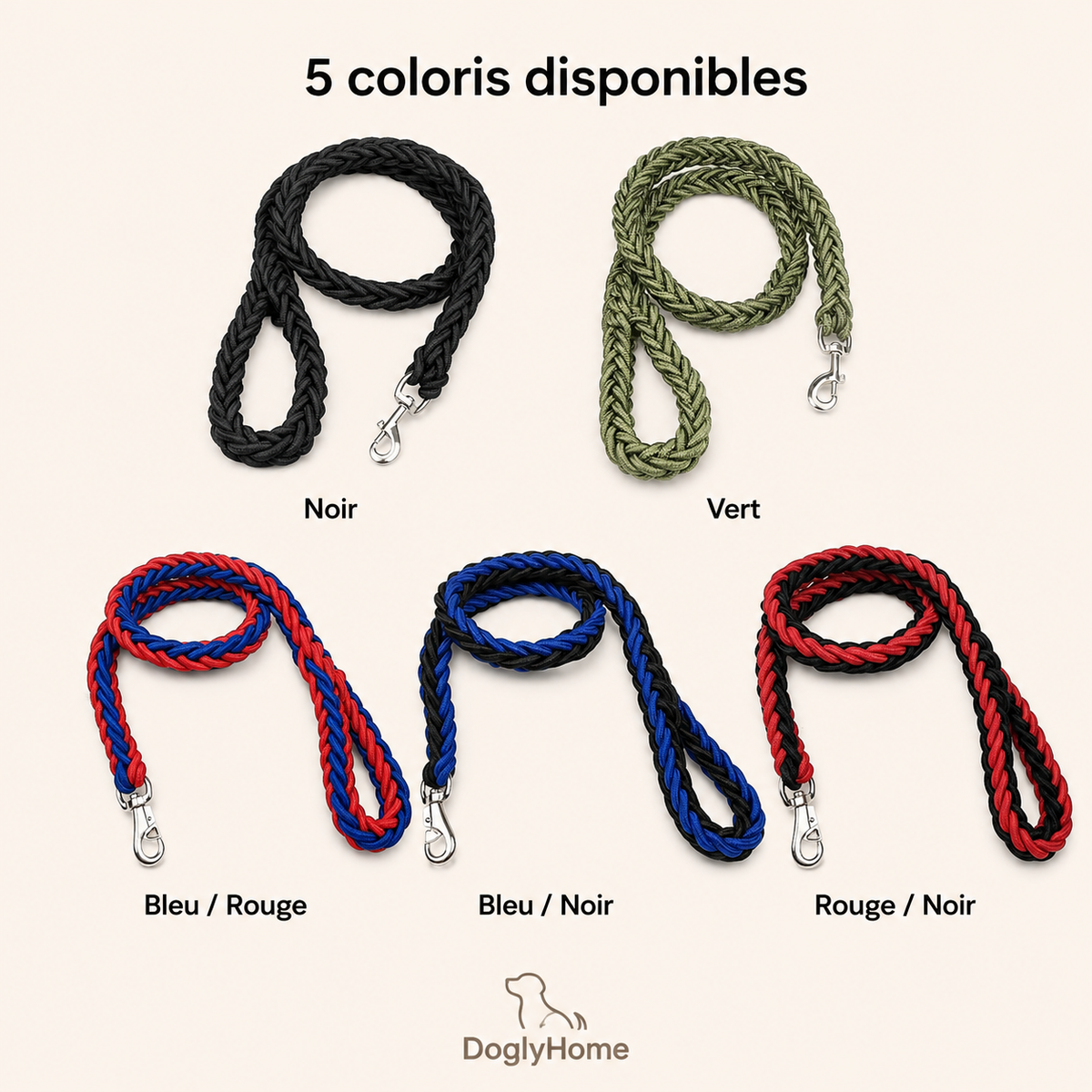 Cinq coloris de la laisse tressée renforcée DoglyHome