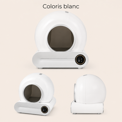 Variantes de Litière Autonettoyante Premium DoglyHome sur fond beige