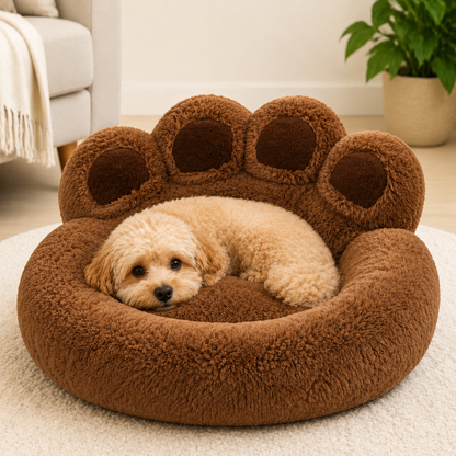 Utilisation de Panier Fluffy Patte Géante DoglyHome